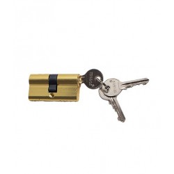 Цилиндр TRODOS ключ-ключ ЦМ 60 (25*10*25)-3K PB золото